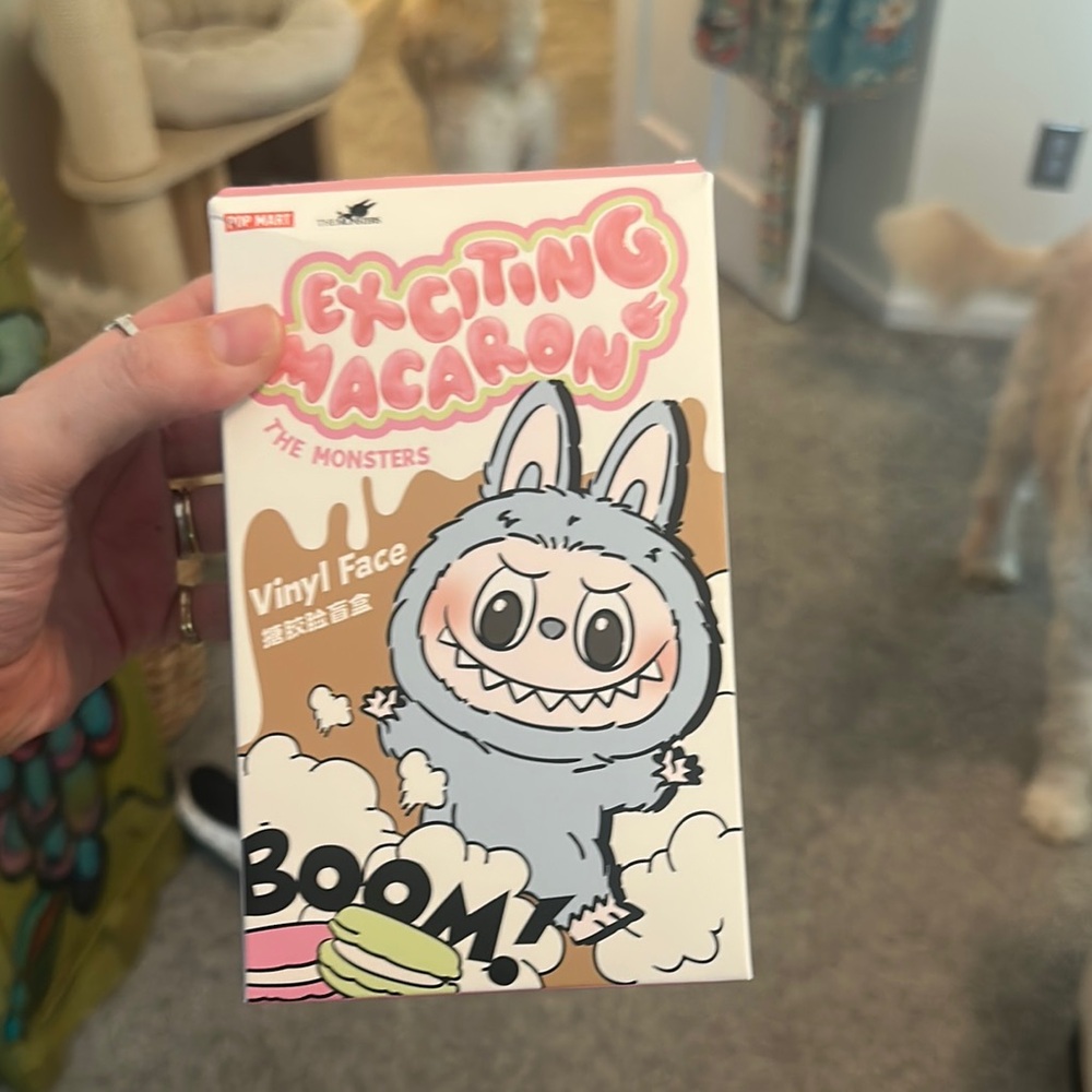 Exciting Macaron Vinyl Face Toy